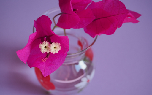 Flowers within flowers from Chrome web store to be run with OffiDocs Chromium online Flowers within flowers from Chrome web store to be run with OffiDocs Chromium online