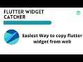 Flutter Widget Catcher from Chrome web store to be run with OffiDocs Chromium online Flutter Widget Catcher from Chrome web store to be run with OffiDocs Chromium online