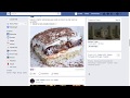 FoodBlocker for Facebook from Chrome web store to be run with OffiDocs Chromium online FoodBlocker for Facebook from Chrome web store to be run with OffiDocs Chromium online
