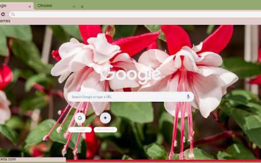 Fuchsia from Chrome web store to be run with OffiDocs Chromium online Fuchsia from Chrome web store to be run with OffiDocs Chromium online