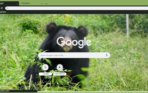 Gau ngua from Chrome web store to be run with OffiDocs Chromium online Gau ngua from Chrome web store to be run with OffiDocs Chromium online