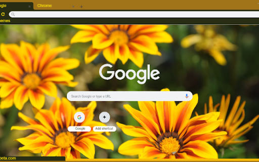 Gazania Rigens from Chrome web store to be run with OffiDocs Chromium online Gazania Rigens from Chrome web store to be run with OffiDocs Chromium online