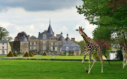 Giraffes in the Park from Chrome web store to be run with OffiDocs Chromium online Giraffes in the Park from Chrome web store to be run with OffiDocs Chromium online