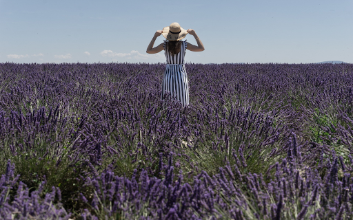 Girl and flower field from Chrome web store to be run with OffiDocs Chromium online Girl and flower field from Chrome web store to be run with OffiDocs Chromium online