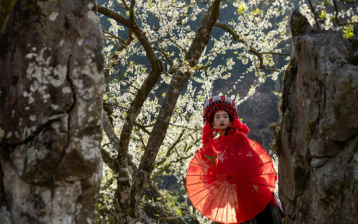 Girl and red umbrella from Chrome web store to be run with OffiDocs Chromium online Girl and red umbrella from Chrome web store to be run with OffiDocs Chromium online