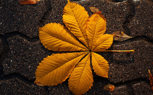 golden leaf from Chrome web store to be run with OffiDocs Chromium online golden leaf from Chrome web store to be run with OffiDocs Chromium online