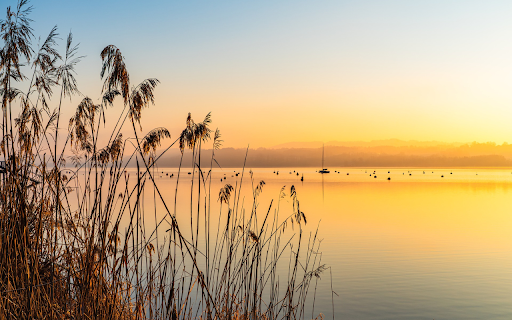 Grass and Sunset from Chrome web store to be run with OffiDocs Chromium online Grass and Sunset from Chrome web store to be run with OffiDocs Chromium online