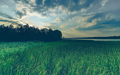 Grassland in the late afternoon from Chrome web store to be run with OffiDocs Chromium online Grassland in the late afternoon from Chrome web store to be run with OffiDocs Chromium online