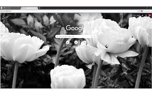 Grayscale Photography of Chinese Peonies from Chrome web store to be run with OffiDocs Chromium online Grayscale Photography of Chinese Peonies from Chrome web store to be run with OffiDocs Chromium online