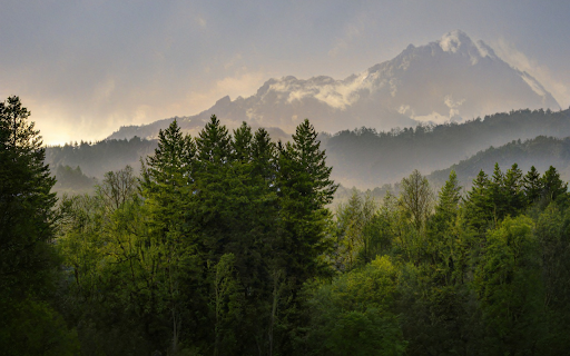 Green Forest and Valley from Chrome web store to be run with OffiDocs Chromium online Green Forest and Valley from Chrome web store to be run with OffiDocs Chromium online