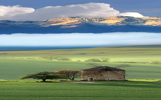 Green grass field wallpaper from Chrome web store to be run with OffiDocs Chromium online Green grass field wallpaper from Chrome web store to be run with OffiDocs Chromium online