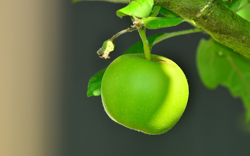 Green young apple from Chrome web store to be run with OffiDocs Chromium online Green young apple from Chrome web store to be run with OffiDocs Chromium online