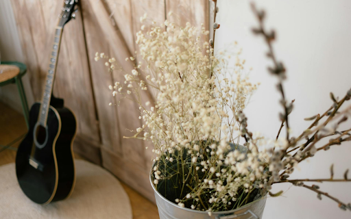 Guitar and Flowers from Chrome web store to be run with OffiDocs Chromium online Guitar and Flowers from Chrome web store to be run with OffiDocs Chromium online
