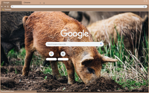 Heo dat from Chrome web store to be run with OffiDocs Chromium online Heo dat from Chrome web store to be run with OffiDocs Chromium online