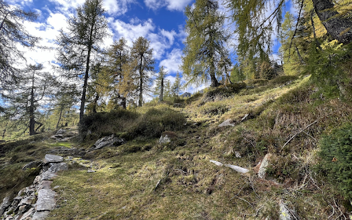 Hills and coniferous trees from Chrome web store to be run with OffiDocs Chromium online Hills and coniferous trees from Chrome web store to be run with OffiDocs Chromium online