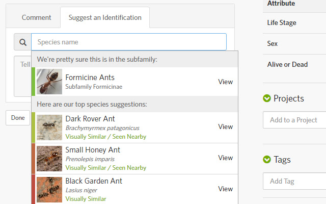 iNaturalist Enhancement Suite from Chrome web store to be run with OffiDocs Chromium online iNaturalist Enhancement Suite from Chrome web store to be run with OffiDocs Chromium online