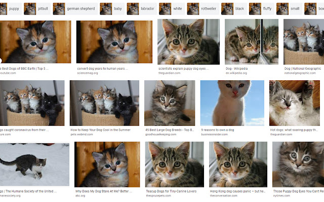 InternetOfCats from Chrome web store to be run with OffiDocs Chromium online InternetOfCats from Chrome web store to be run with OffiDocs Chromium online