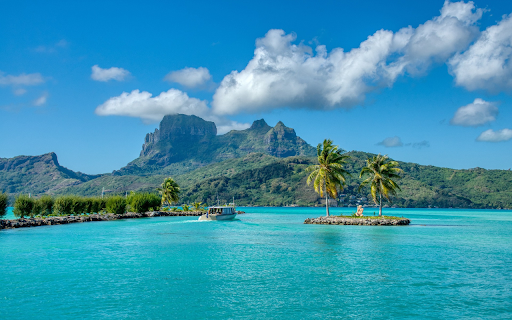 island of two coconut trees from Chrome web store to be run with OffiDocs Chromium online island of two coconut trees from Chrome web store to be run with OffiDocs Chromium online