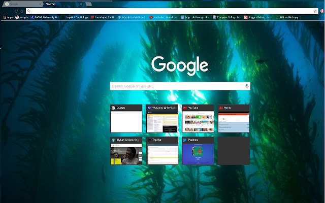 Kelp Forest from Chrome web store to be run with OffiDocs Chromium online Kelp Forest from Chrome web store to be run with OffiDocs Chromium online