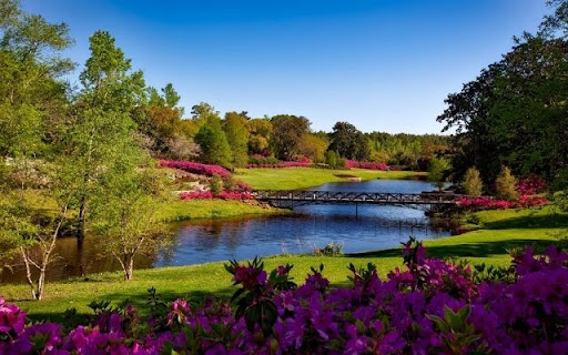 Lakeside Azalea Extravaganza from Chrome web store to be run with OffiDocs Chromium online Lakeside Azalea Extravaganza from Chrome web store to be run with OffiDocs Chromium online