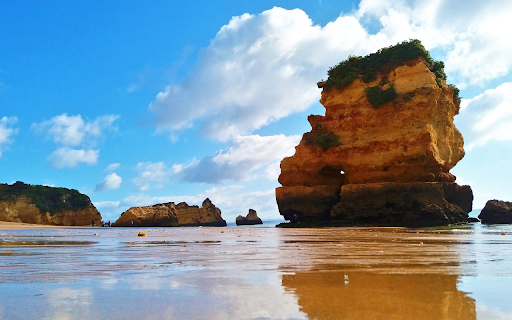 Large beach from Chrome web store to be run with OffiDocs Chromium online Large beach from Chrome web store to be run with OffiDocs Chromium online