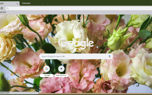 Lisianthus from Chrome web store to be run with OffiDocs Chromium online Lisianthus from Chrome web store to be run with OffiDocs Chromium online