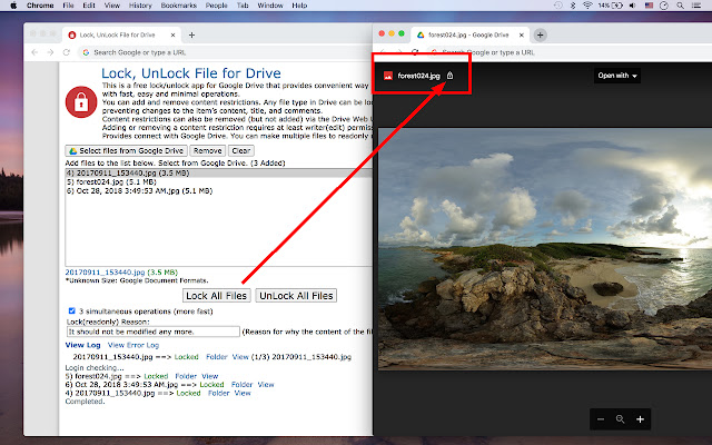 Lock, UnLock File for Drive from Chrome web store to be run with OffiDocs Chromium online Lock, UnLock File for Drive from Chrome web store to be run with OffiDocs Chromium online