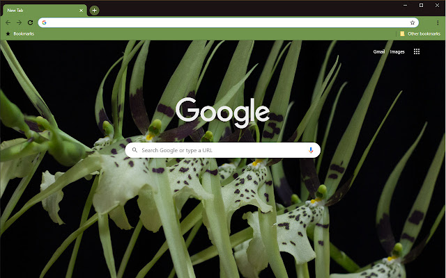 Lone Orchid III from Chrome web store to be run with OffiDocs Chromium online Lone Orchid III from Chrome web store to be run with OffiDocs Chromium online