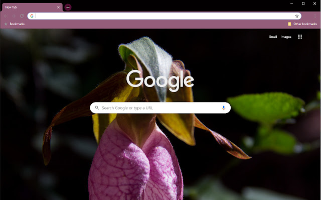 Lone Pink Lady Slipper from Chrome web store to be run with OffiDocs Chromium online Lone Pink Lady Slipper from Chrome web store to be run with OffiDocs Chromium online