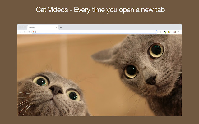 Meow Meow Woof from Chrome web store to be run with OffiDocs Chromium online Meow Meow Woof from Chrome web store to be run with OffiDocs Chromium online