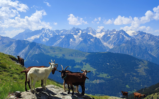 Mountain goats and clouds from Chrome web store to be run with OffiDocs Chromium online Mountain goats and clouds from Chrome web store to be run with OffiDocs Chromium online