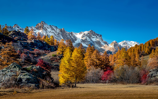 Mountains Covered in Snow and Autumn Trees from Chrome web store to be run with OffiDocs Chromium online Mountains Covered in Snow and Autumn Trees from Chrome web store to be run with OffiDocs Chromium online