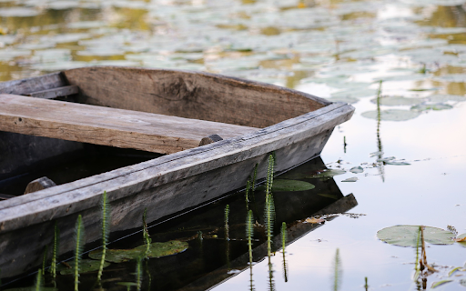 Old boat and moss on the river from Chrome web store to be run with OffiDocs Chromium online Old boat and moss on the river from Chrome web store to be run with OffiDocs Chromium online