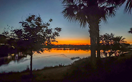 Palm silhouettes and sunset from Chrome web store to be run with OffiDocs Chromium online Palm silhouettes and sunset from Chrome web store to be run with OffiDocs Chromium online