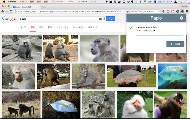 Papio from Chrome web store to be run with OffiDocs Chromium online Papio from Chrome web store to be run with OffiDocs Chromium online