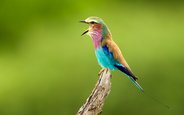 Pattis Cleaner from Chrome web store to be run with OffiDocs Chromium online Pattis Cleaner from Chrome web store to be run with OffiDocs Chromium online