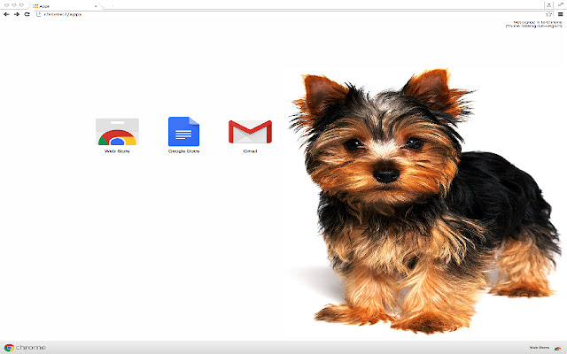 perro lindo from Chrome web store to be run with OffiDocs Chromium online perro lindo from Chrome web store to be run with OffiDocs Chromium online