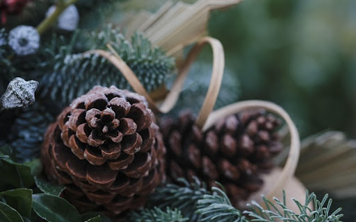 PINE FRUIT THEME from Chrome web store to be run with OffiDocs Chromium online PINE FRUIT THEME from Chrome web store to be run with OffiDocs Chromium online