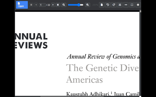 Popup PDF Viewer from Chrome web store to be run with OffiDocs Chromium online Popup PDF Viewer from Chrome web store to be run with OffiDocs Chromium online
