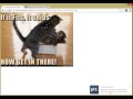 Post To Tumblr from Chrome web store to be run with OffiDocs Chromium online Post To Tumblr from Chrome web store to be run with OffiDocs Chromium online