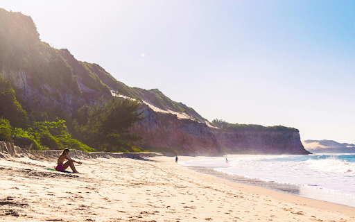Praia dos Golfinhos from Chrome web store to be run with OffiDocs Chromium online Praia dos Golfinhos from Chrome web store to be run with OffiDocs Chromium online