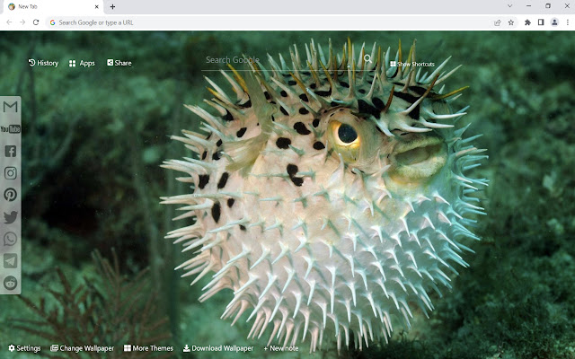 Pufferfish Wallpaper New Tab from Chrome web store to be run with OffiDocs Chromium online Pufferfish Wallpaper New Tab from Chrome web store to be run with OffiDocs Chromium online