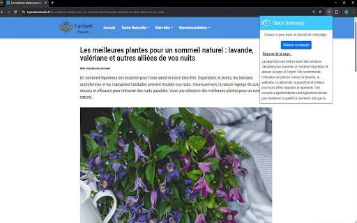 QuickSummary from Chrome web store to be run with OffiDocs Chromium online QuickSummary from Chrome web store to be run with OffiDocs Chromium online