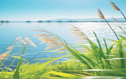 Reeds stretching in the wind Wallpaper from Chrome web store to be run with OffiDocs Chromium online Reeds stretching in the wind Wallpaper from Chrome web store to be run with OffiDocs Chromium online