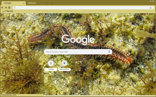 Ret Bien from Chrome web store to be run with OffiDocs Chromium online Ret Bien from Chrome web store to be run with OffiDocs Chromium online