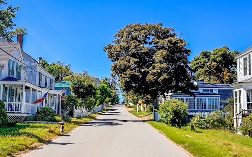 Road silhouetted by trees from Chrome web store to be run with OffiDocs Chromium online Road silhouetted by trees from Chrome web store to be run with OffiDocs Chromium online