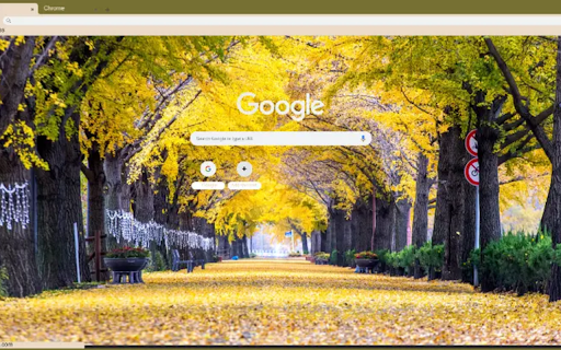 row of yellow ginkgo trees in Asan from Chrome web store to be run with OffiDocs Chromium online row of yellow ginkgo trees in Asan from Chrome web store to be run with OffiDocs Chromium online