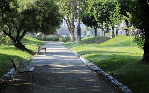 Rows of green park benches from Chrome web store to be run with OffiDocs Chromium online Rows of green park benches from Chrome web store to be run with OffiDocs Chromium online