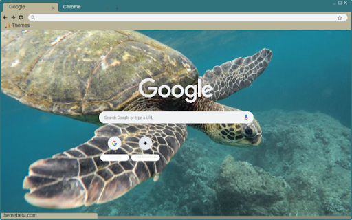 Rua Bien from Chrome web store to be run with OffiDocs Chromium online Rua Bien from Chrome web store to be run with OffiDocs Chromium online
