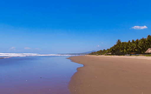 Salvador Beach from Chrome web store to be run with OffiDocs Chromium online Salvador Beach from Chrome web store to be run with OffiDocs Chromium online